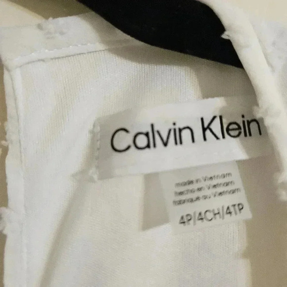 Calvin Klein Chiffon Overlay Dress NWOT - Picture 5 of 6